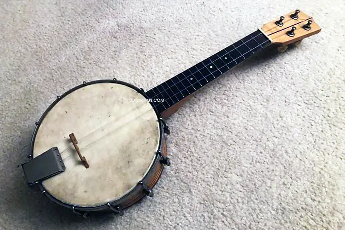 Should You Learn the Banjo or the Ukulele