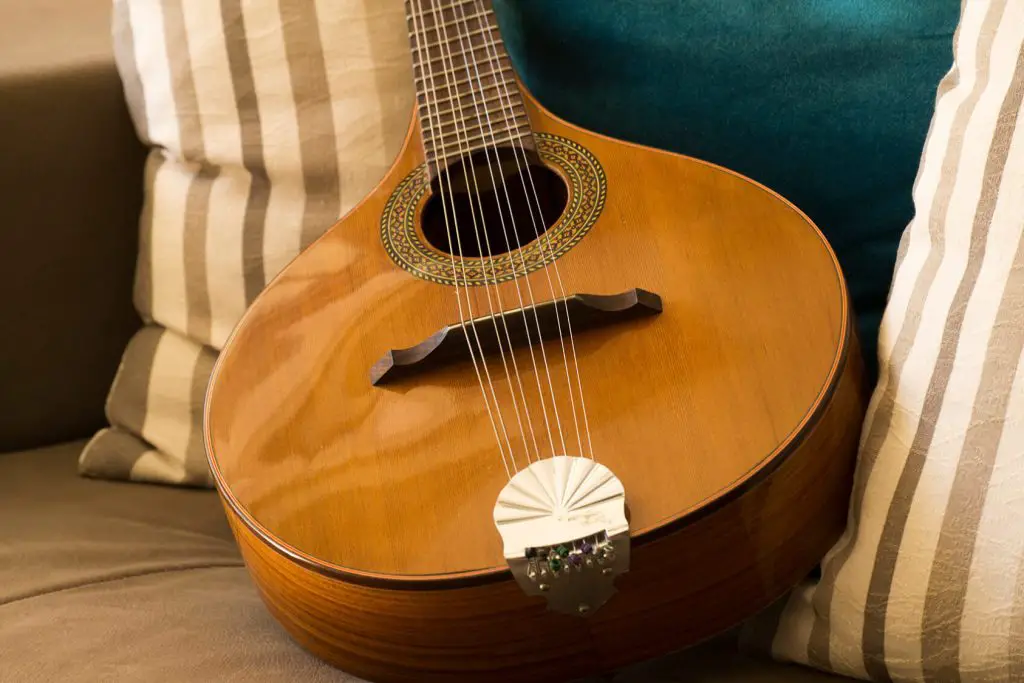 What Are the Best Mandolin Brands
