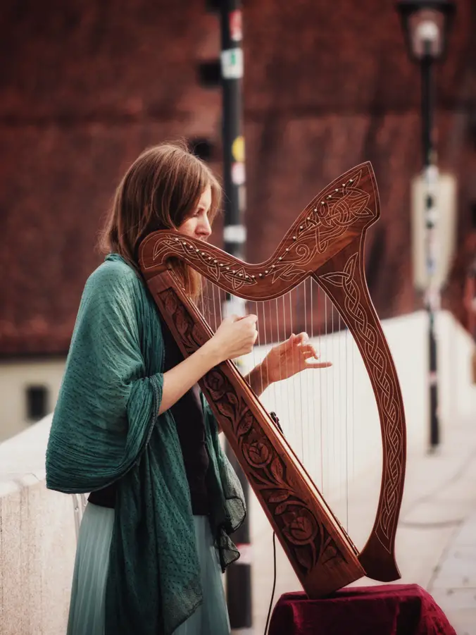 How to Clean a Harp 3