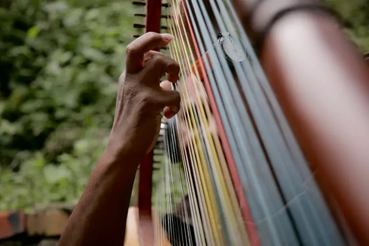 best harps for beginners 