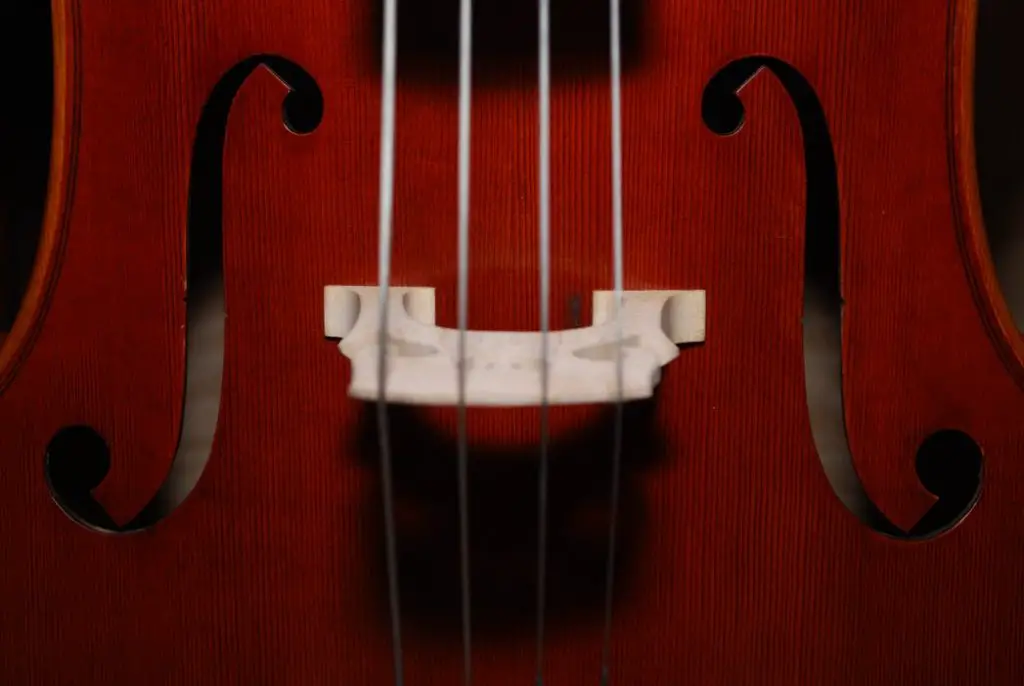 What Is The Difference Between A Fiddle And A Violin What is the easiest string instrument to learn