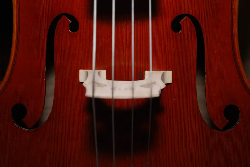 Is Violin Harder Than Guitar? The Answer Might Shock You!