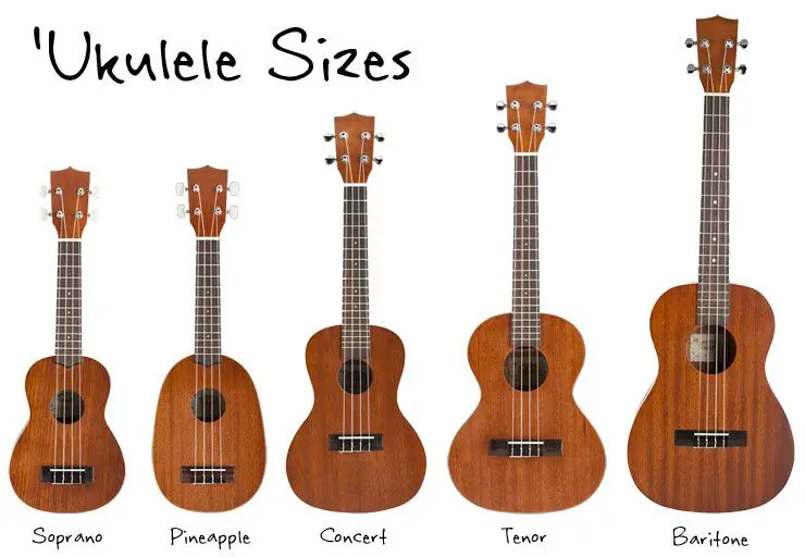 Which Ukulele Size Is Best for a Beginner