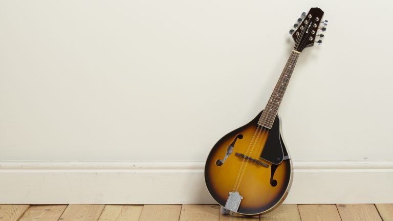 What Are the Best Mandolin Brands?