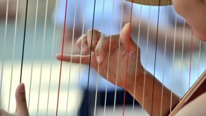 10 Best Harps for Beginners Lever and Lyre Harps: A Friendly Guide to Start Your Journey