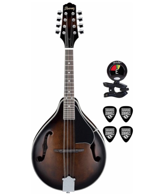 ibanez Top 10 Best Mandolins for Beginners - Buyer's Guide (UPDATED)