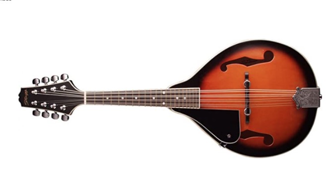 stagg m20 Top 10 Best Mandolins for Beginners - Buyer's Guide (UPDATED)
