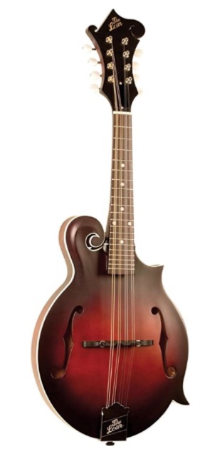 the loar Top 10 Best Mandolins for Beginners - Buyer's Guide (UPDATED)
