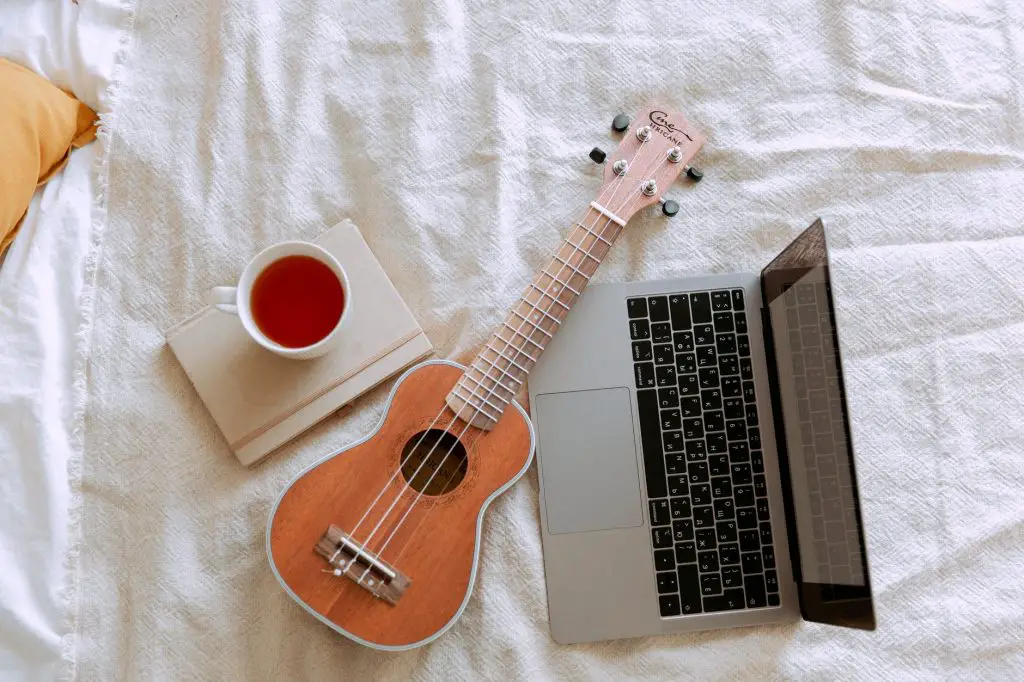 How to Learn the Ukulele Fast