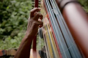 buying a harp for beginners