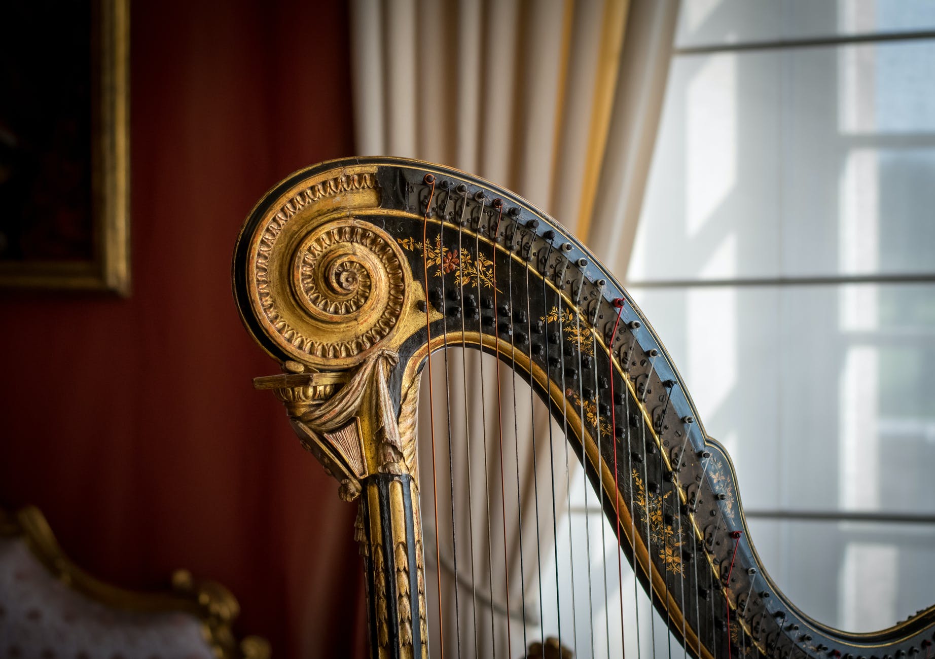 Buying a Harp for Beginners