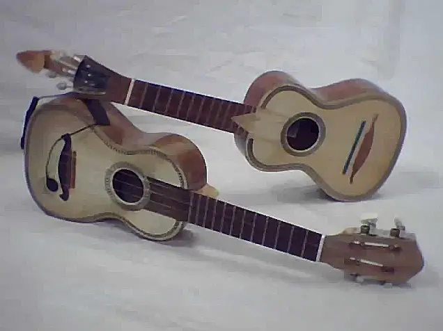 cavaquinho vs ukulele