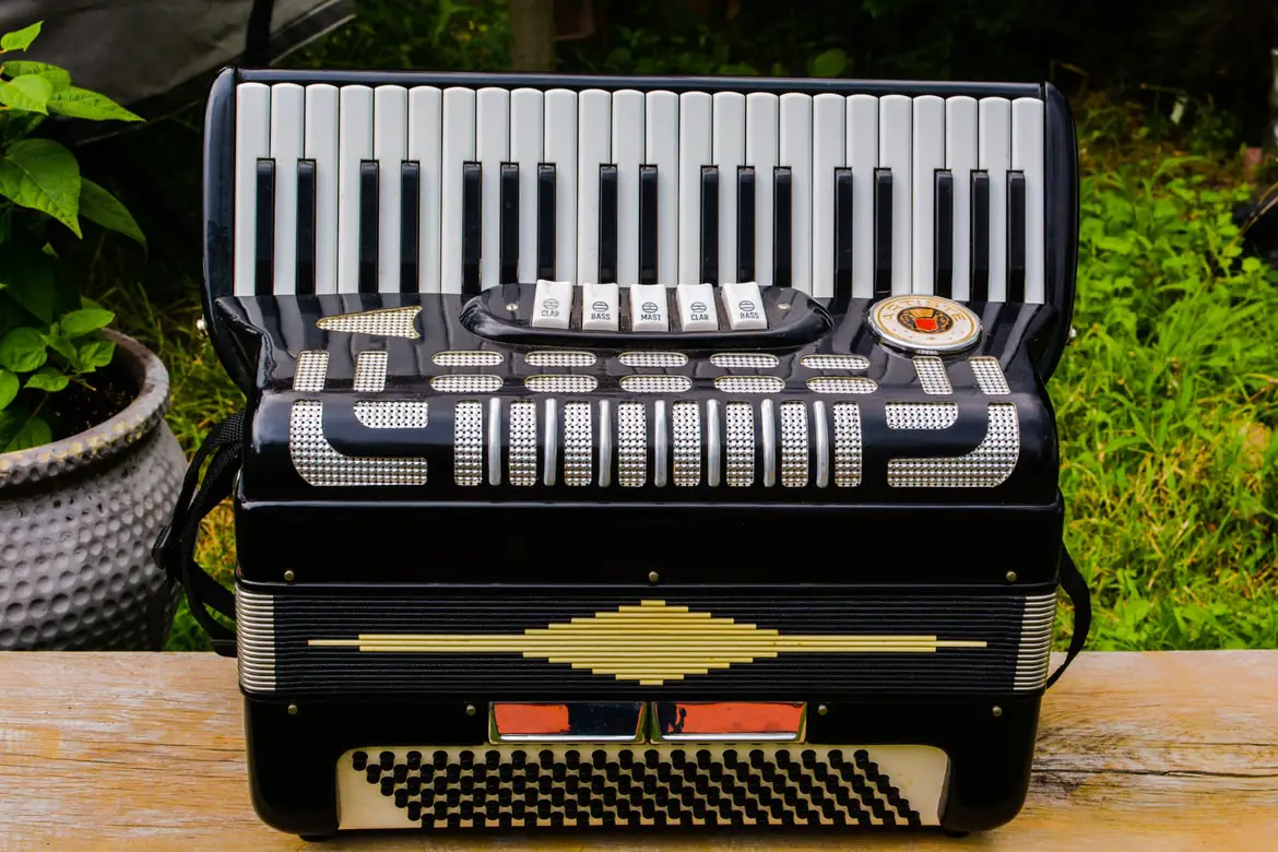 Is the Accordion Hard to Learn? An Expert Opinion