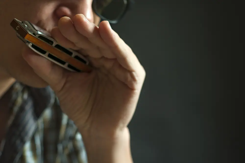 Good Instruments for Small Hands  harmonica