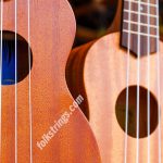 Common Ukulele Questions Answered – Part Two
