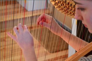 How to Clean a Harp 2