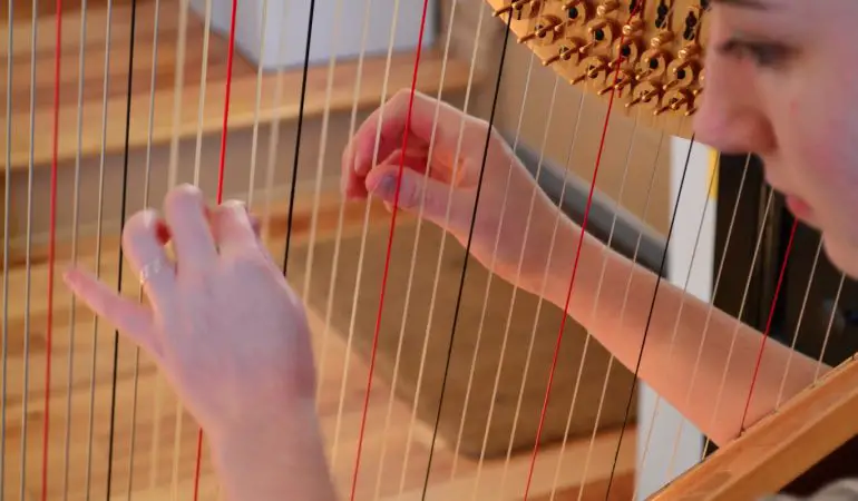 How to Clean a Harp 2