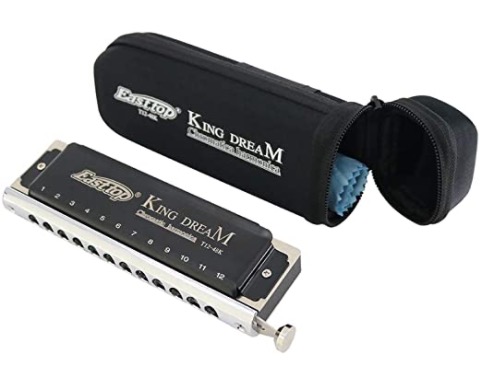 Easttop king dream Chromatic Harmonica The Best Chromatic Harmonica for Beginners - Our Top 5