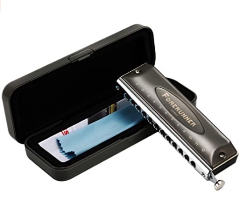 easttop forerunner chromatic harmonica