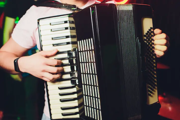 best accordion for beginners 2