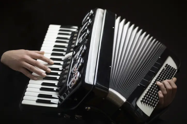 how much are accordions best accordion for beginners 3