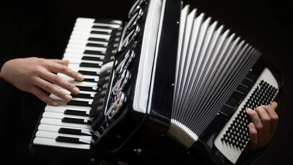 accordion maintenance 2 5 Best Accordion for Beginners - Read Before You Buy! (UPDATED 2023)