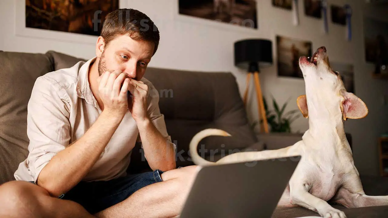 6 of The Most Common Harmonica Questions No Stupid Questions