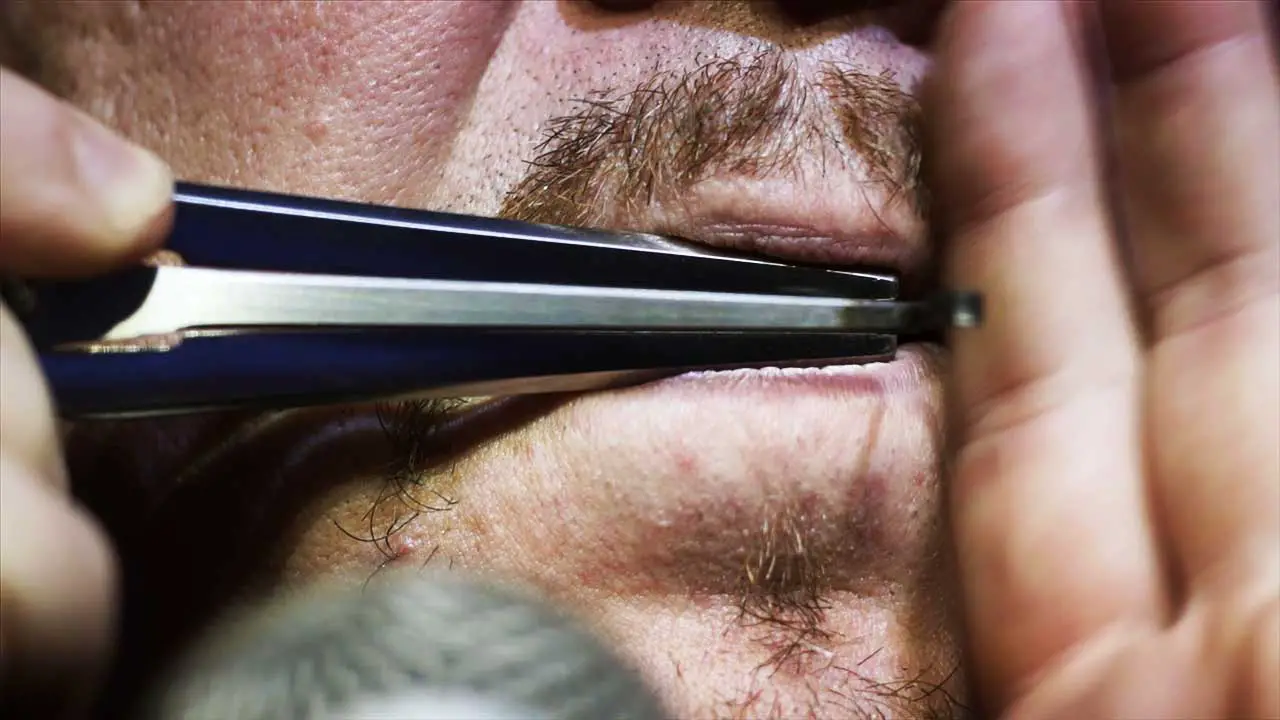 The Jaw Harp All You Need to Know About This Fascinating Instrument