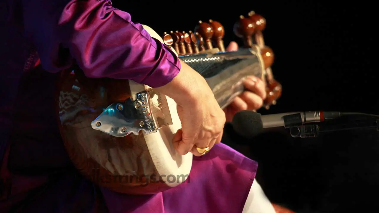 What Is The Sarod Instrument? The Lesser-Known Indian Gem