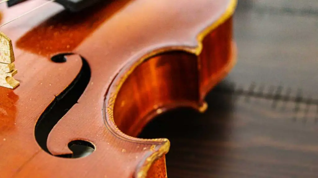How to Clean a Violin 6