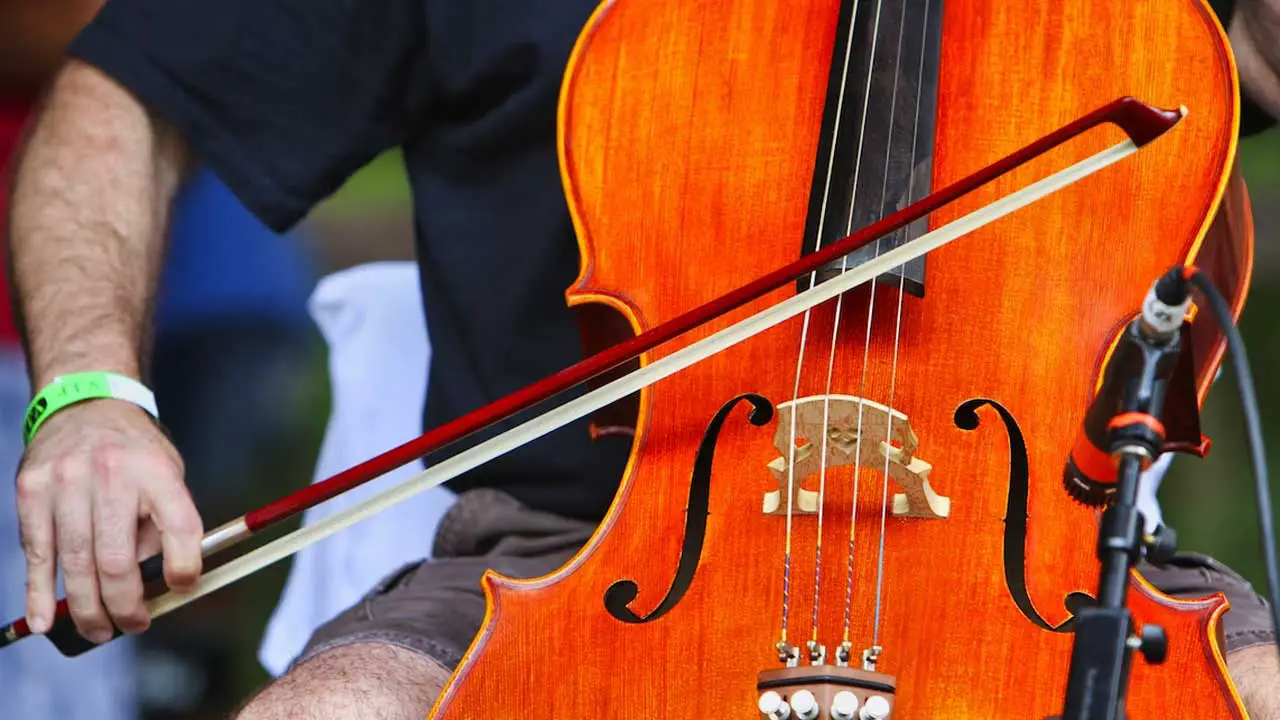 Learning Cello as an Adult – Everything You Need to Know