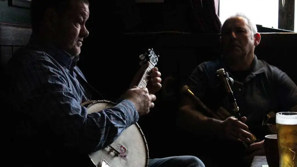 Irish String Instruments A Guide to Traditional MusicMaking in Ireland