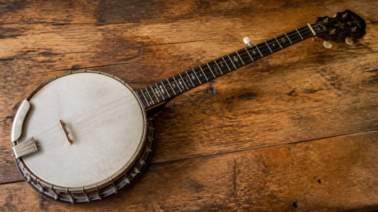 Best Four String Banjo: Tenor Banjo vs Banjolele — What You Actually Need